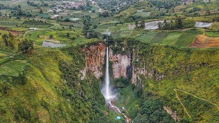 Hutan Pegunungan