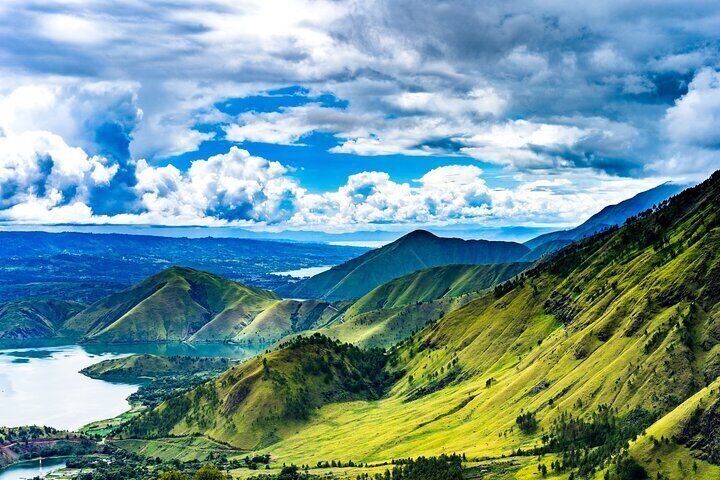Hutan Pegunungan