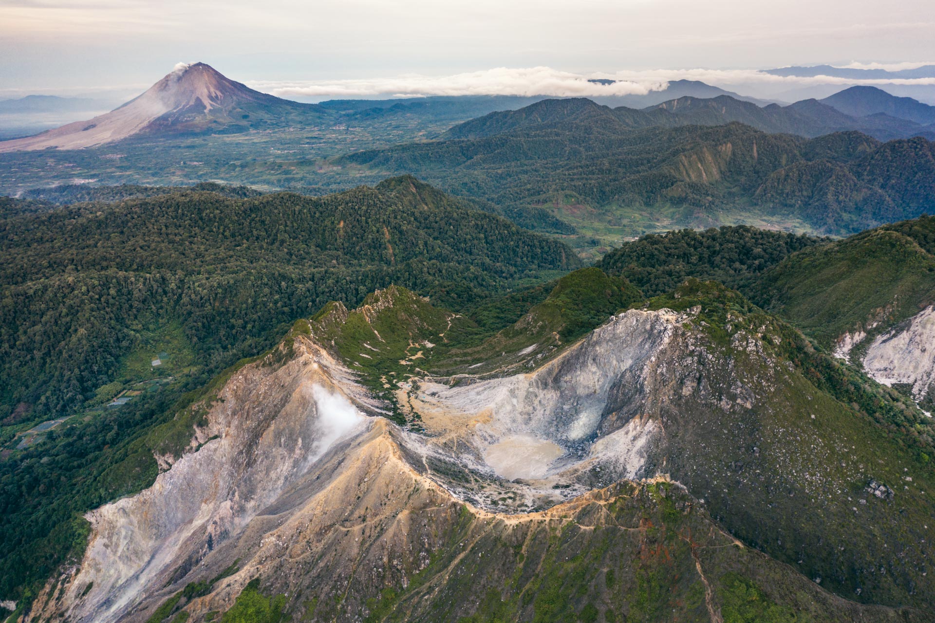 Hutan Pegunungan
